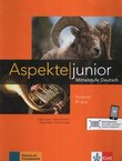 Aspekte junior B1 plus