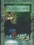 Čudesni grm