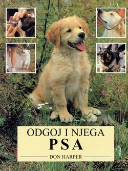 Odgoj i njega psa