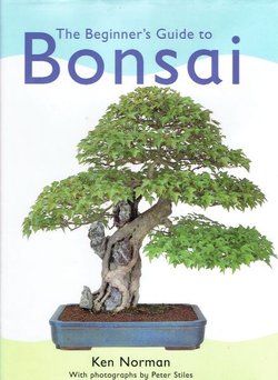 The Beginner's Guide to Bonsai