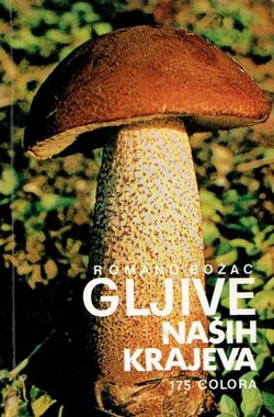 Gljive naših krajeva